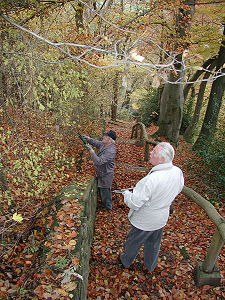 Gerd Horn und Hans Br�mer beim �ste schneiden