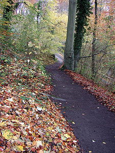 der Querweg zur Strasse